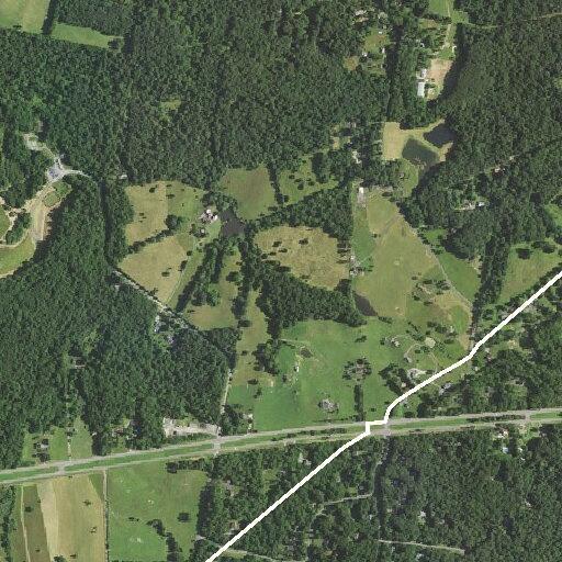 Large tree blocks Weaver Road near Battle Mountain
