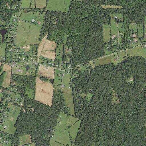 Male with bleeding ankle injured at Tall Pines Lane