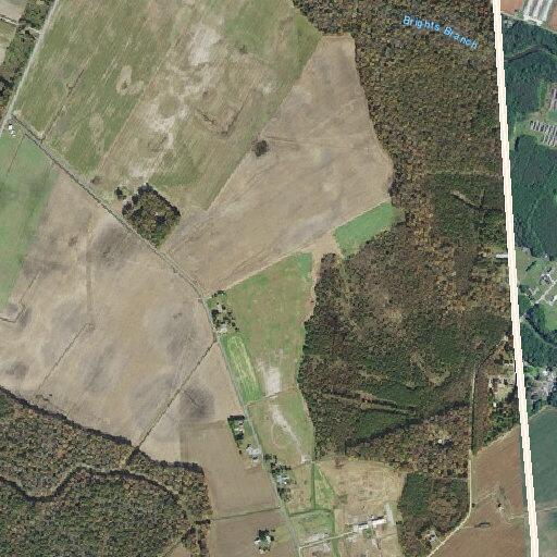 Person experiencing chest pain near White Road in Federalsburg