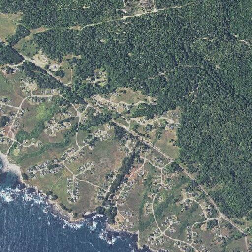 Child with diabetic issue at Sea Ranch