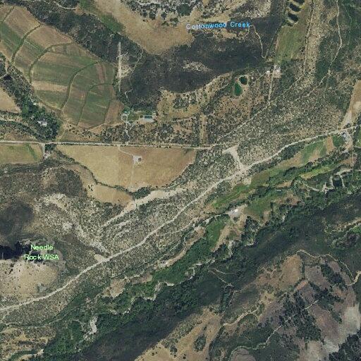 Motorcycle crash in driveway on Needle Rock Road