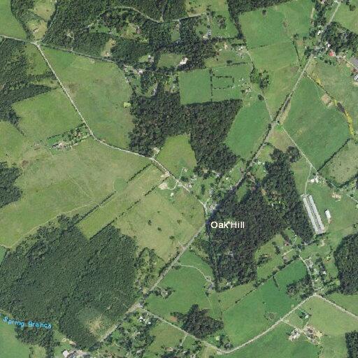 Elderly woman vomiting at Springfield Estates