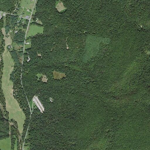 Large tree blocks both lanes on Brock Gap Road