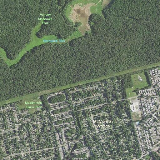 Man threatens caller with rock at dog park