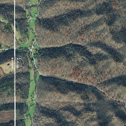 84-year-old woman fallen on State Route 125