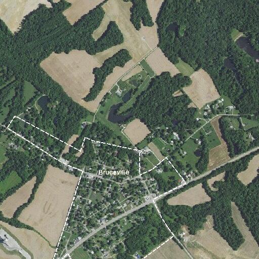 Loose cows blocking road in Bruceville