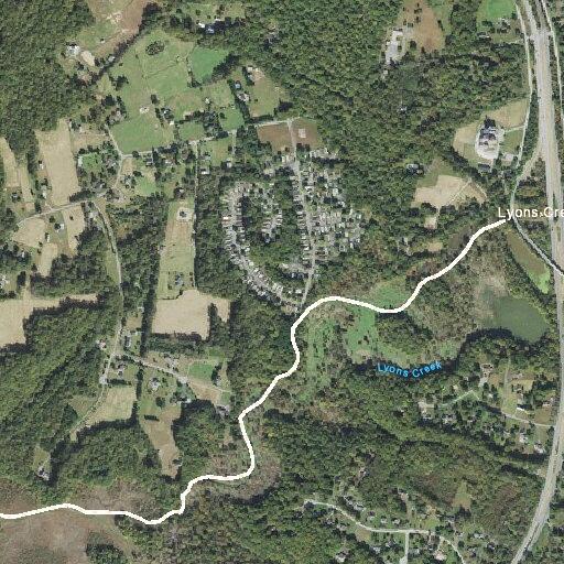 Person with altered consciousness near Jaguar Drive