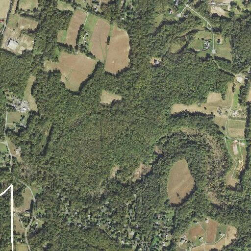 Person experiencing chest pain at Greenridge Dr