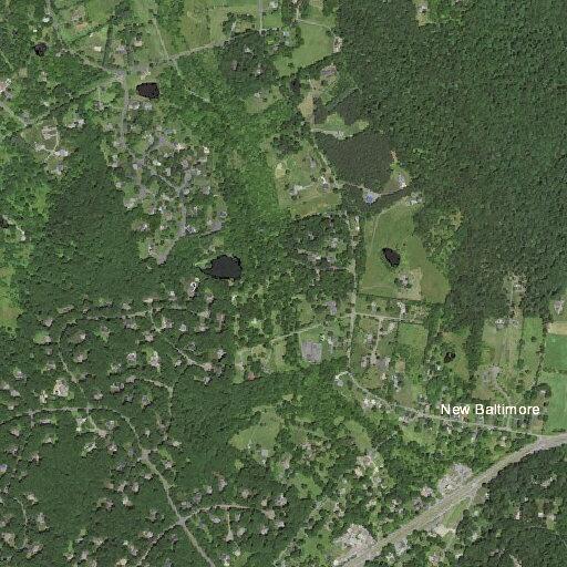 Elderly woman falls near old forest lane in Warrenton