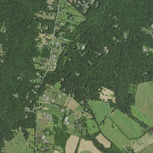 84-year-old woman having difficulty breathing in Virginia