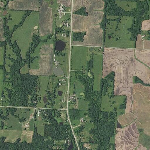 Deer in roadway creating hazard on Highway 131