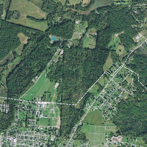 Person with pneumonia on oxygen near Ronald Avenue