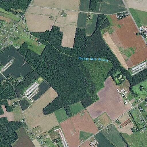 Person reported sick at 6985 Scott Store Road