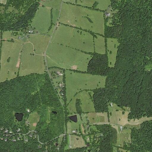 85-year-old female found limp and moaning at home