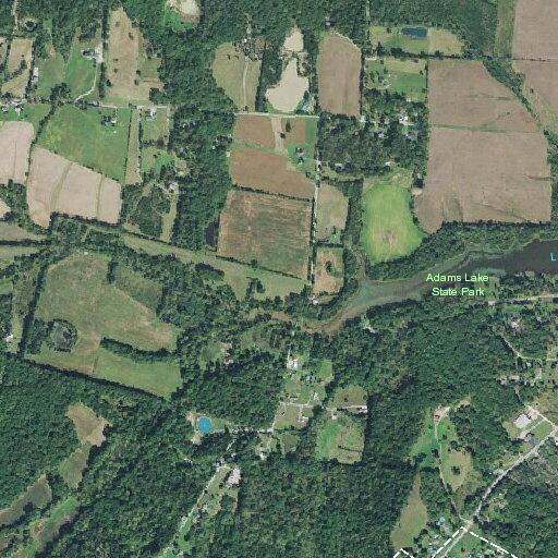 Loose dogs reported killing neighbor’s chickens