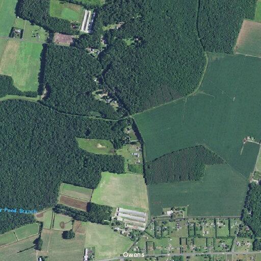 Person having a seizure near Utica Road