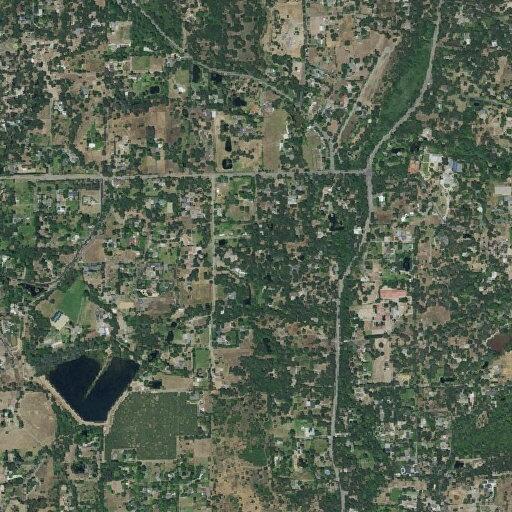 Welfare check for disoriented female at Auburn Folsom Road