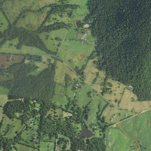 Dog bite injury reported near Dixon's Mill Road