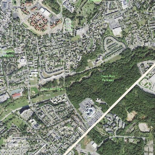 Person sick near Barnaby Terrace SE and Willow Road, Washington