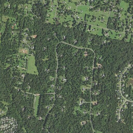 Tree damages house and blocks road in Gainesville