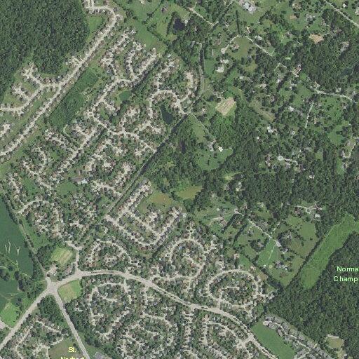 Person bitten by animal at Affirm Dr and Riva Ridge Ct