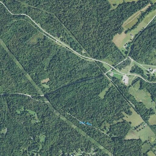 Person with breathing problems at Fruit Ridge Road
