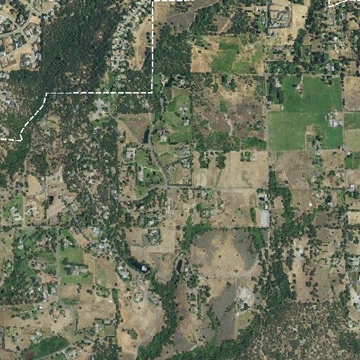 Person having allergic reaction to bee sting in Auburn