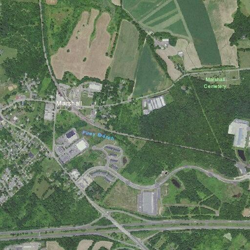 Vehicle hits deer near Winchester Road store