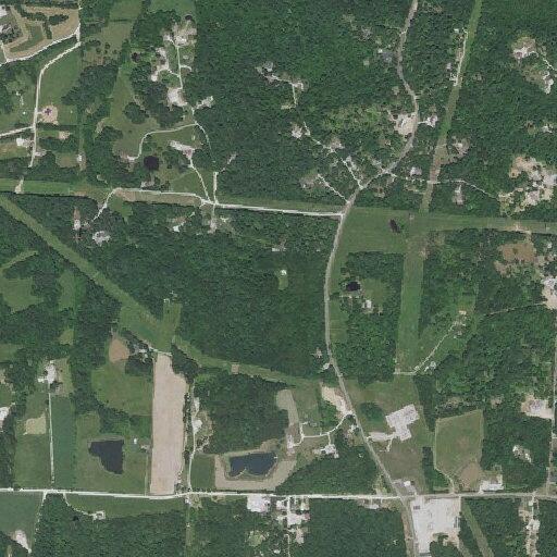 64-year-old woman with chest pain in Wright City