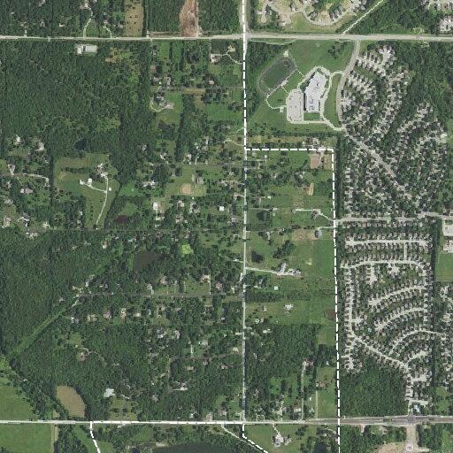 Person impaled by tree branch after suspected stroke in Olathe