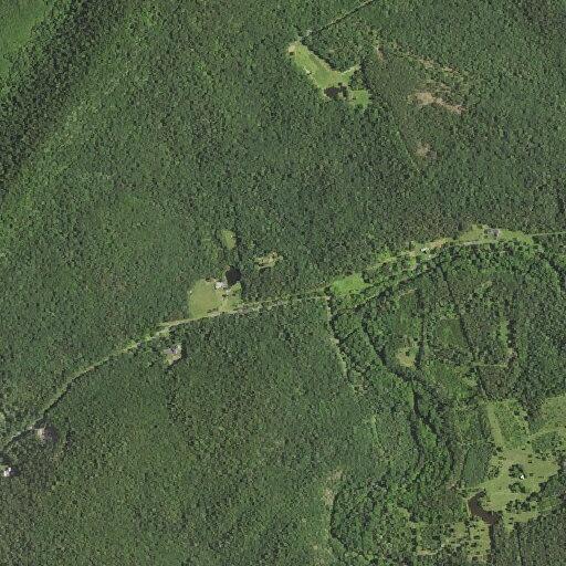 Elderly man faints and twitches near liberty furnace road