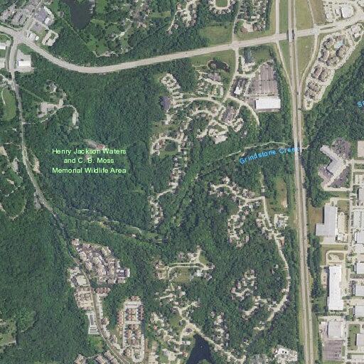 Person with suicidal intent at apartment complex