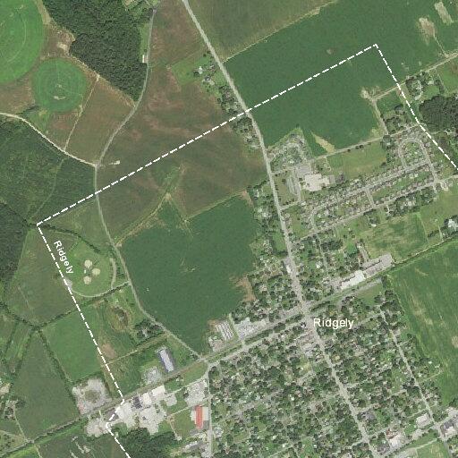 Person falls near Liberty Street in Ridgely