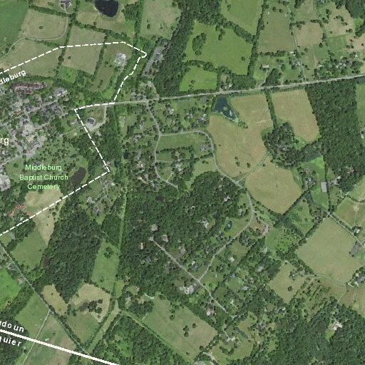 Tree and power lines block Landmark School Road