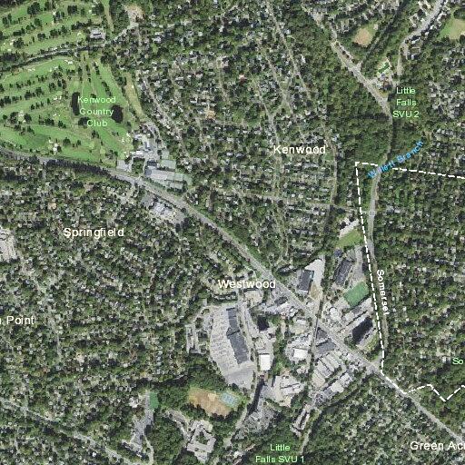 Person sick at Venice Overlook and Topaz Lane