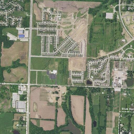 Person having allergic reaction to shellfish in Blue Springs