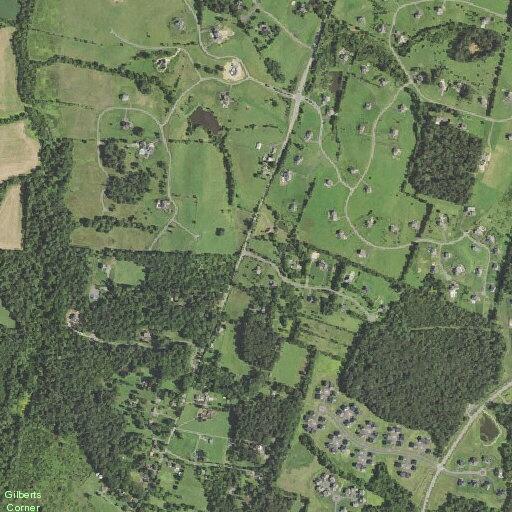 Elderly woman suffers hemorrhage at Aldie home