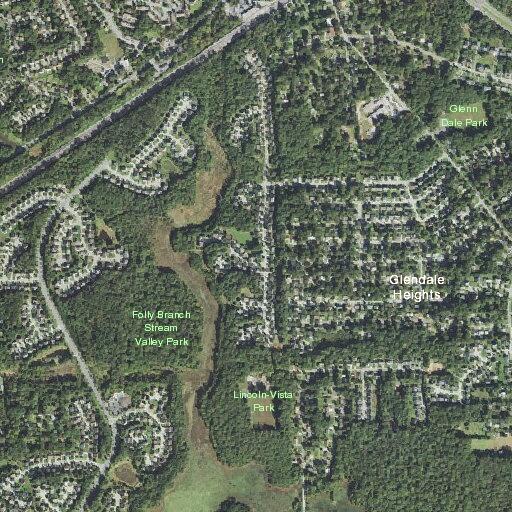 Loose dog reported at Lincoln Vista Park