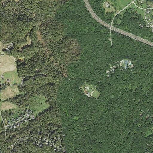 Person reports back pain near Haverford Drive