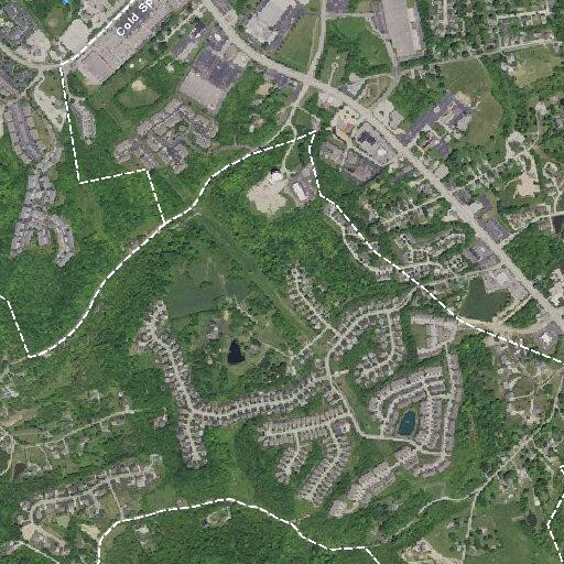 84-year-old female unresponsive but breathing at home
