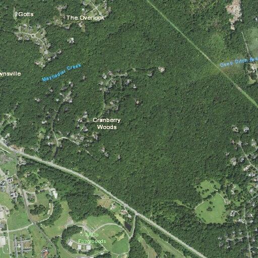 Person needing lift assist at home in Crownsville