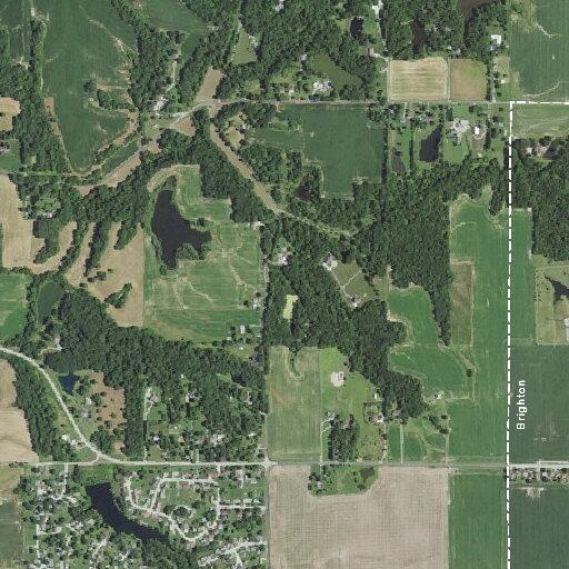 55-year-old woman with leg pain unable to stand