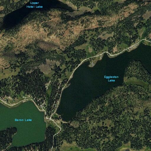 Deputy checks report of loose cattle near Grand Mesa