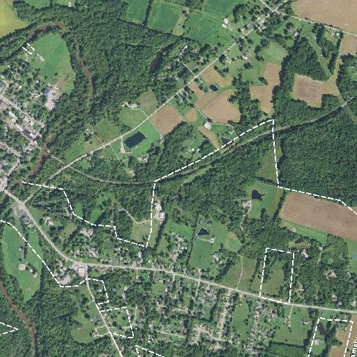 Child assaulting mother at Williamsburg Woods