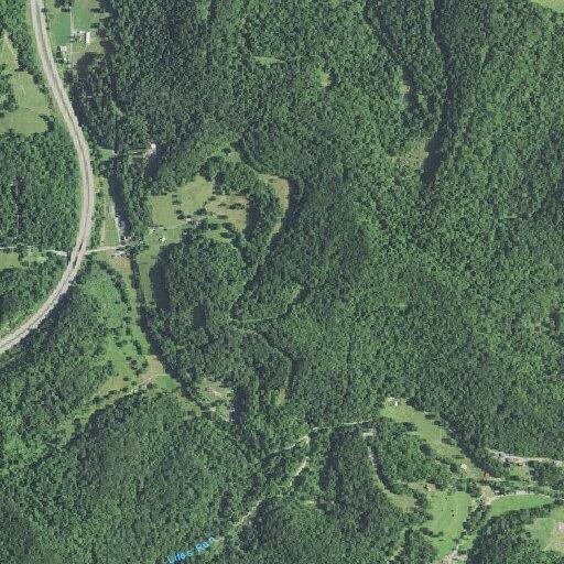 Illegal dumping reported on Rocky Brook Farm Road