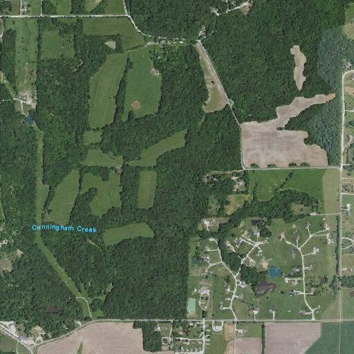 Son yelling in domestic disturbance at Foley home
