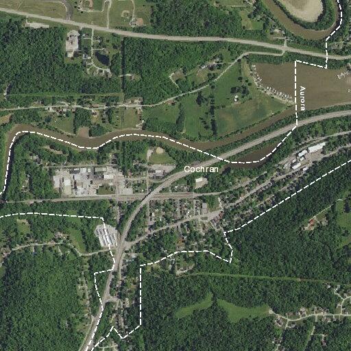 Aggressive dogs reported on Forest Avenue