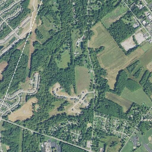 Elderly female yelling for help in wooded area