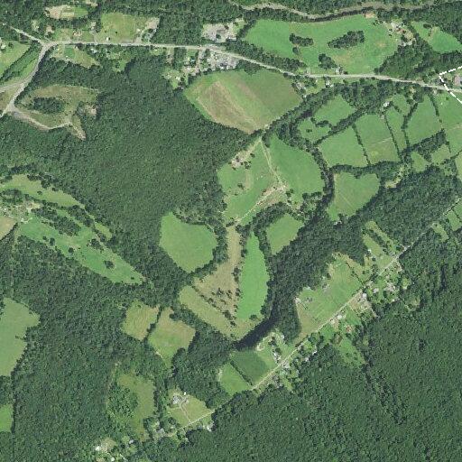 Man breaks ankle after fall in creek at campground