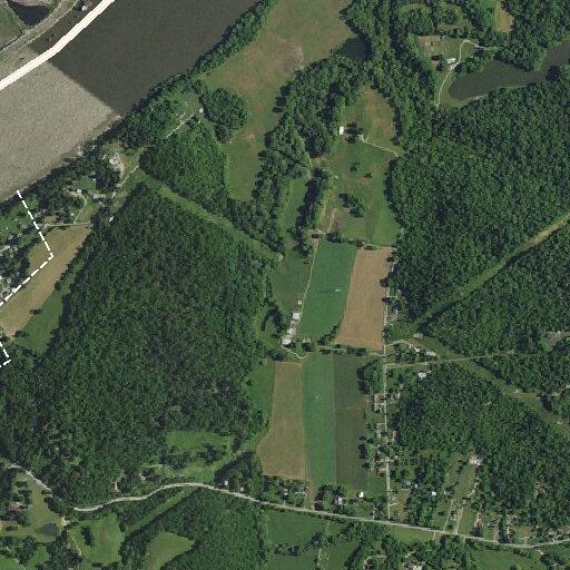 Two children possibly poisoned by hemlock plant